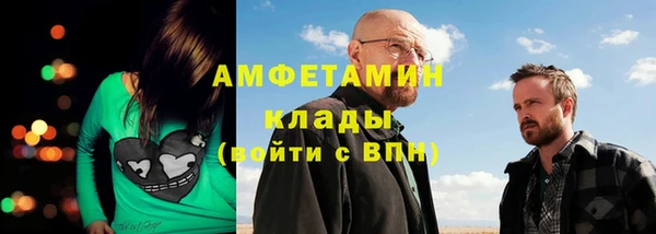 индика Дмитриев