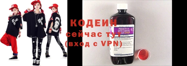 индика Дмитриев