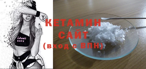 индика Дмитриев