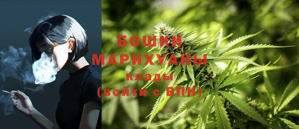 соль курить ск Дмитров