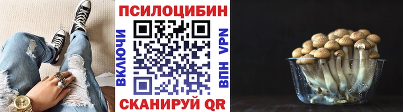сайты даркнета клад  Кингисепп  Псилоцибиновые грибы мицелий  МЕГА  