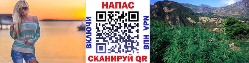 цены   Кингисепп  Конопля марихуана 